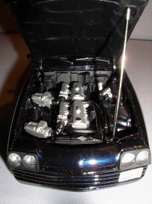 P1010522m