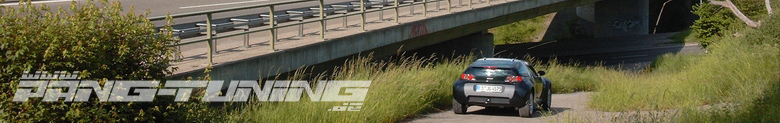 roadsterbannerl
